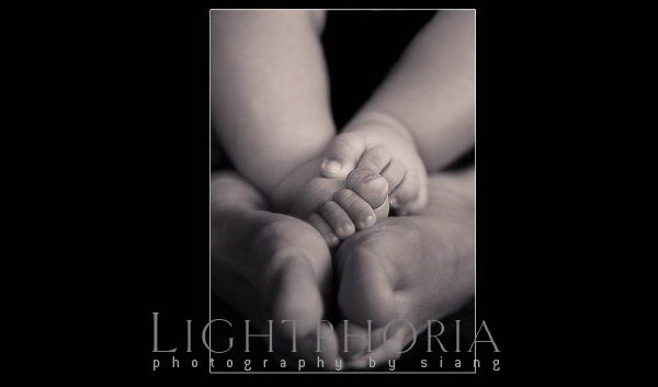 seattle baby photographer