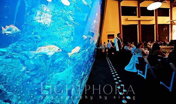 seattle wedding photography